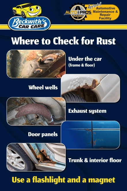 areas to check for rust under car wheel wells exhaust system door panels trunk inspection